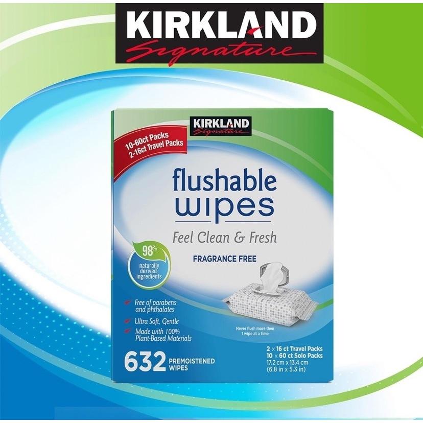 愛的小舖-Kirkland Signature 科克蘭 濕式衛生紙 60抽 X 1包 效期：2024年9月份-細節圖2