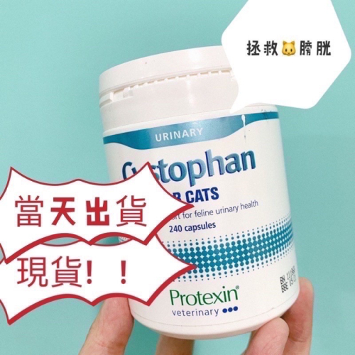 現貨‼️Protexin Cystophan for Cats 安泌利 寵特寶 240顆