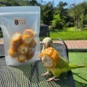 【買五送一】村長手作｜優質玉米乾✨️｜小動物零食 鸚鵡零食 鸚鵡點心 果乾 寵物零食 寵物點心 手工零食 小寵零食-規格圖2