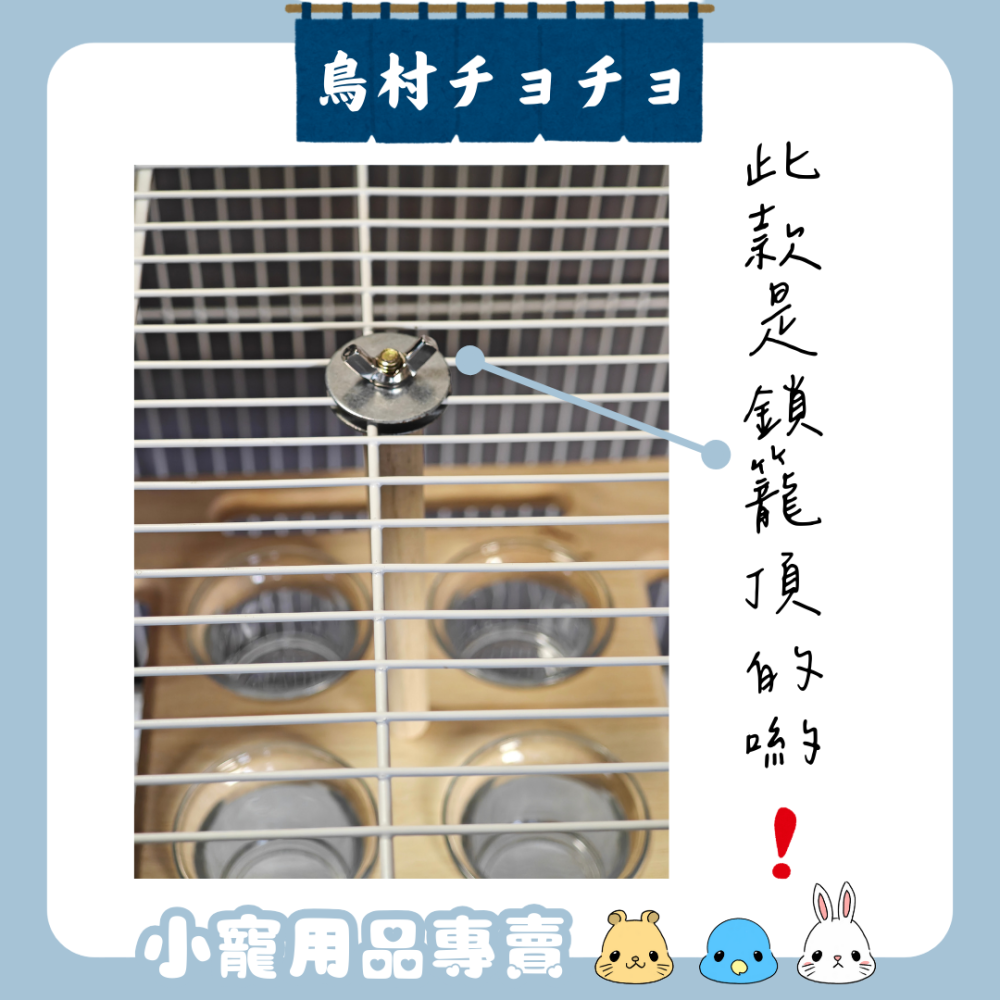 【24h出貨】鳥村貴族系列✨️｜ 唯美空中食盆(家庭版)｜ 鸚鵡木作站桿 加厚玻璃食盆  寵物食盆 鳥食盆 鸚鵡用品-細節圖2