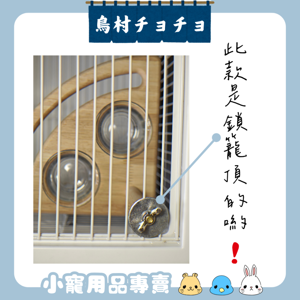 【鳥寶質感居家】原木角落小鳥食盆組｜鸚鵡食盆 鸚鵡食器 玻璃碗 原木棲木 鸚鵡用品-細節圖2