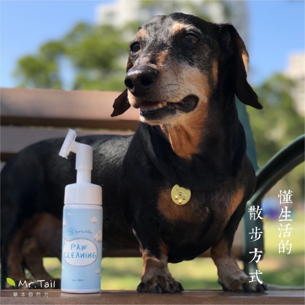 ～寵物殿～ Dirtydog狗狗潔足樂 150ml-細節圖2