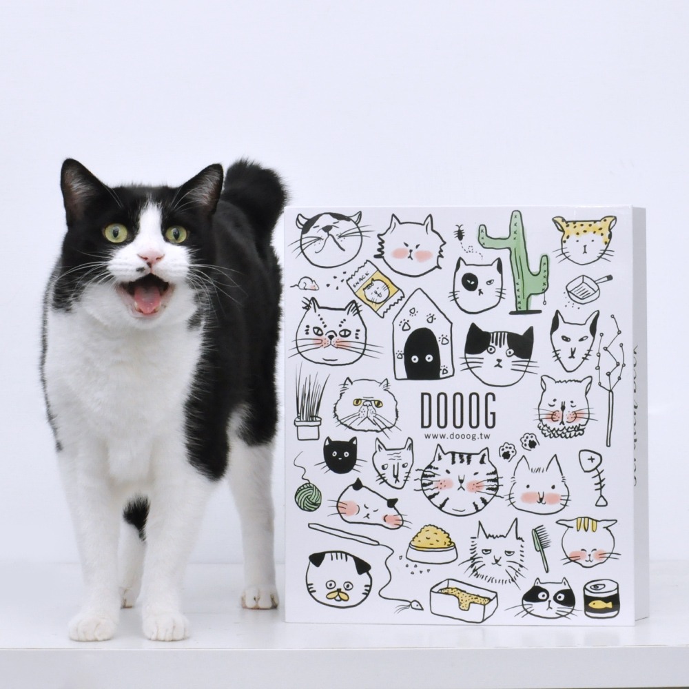 🐶寵物殿🐱~毛毛樂寵物~DOOOG貓抓書 貓抓板-細節圖3