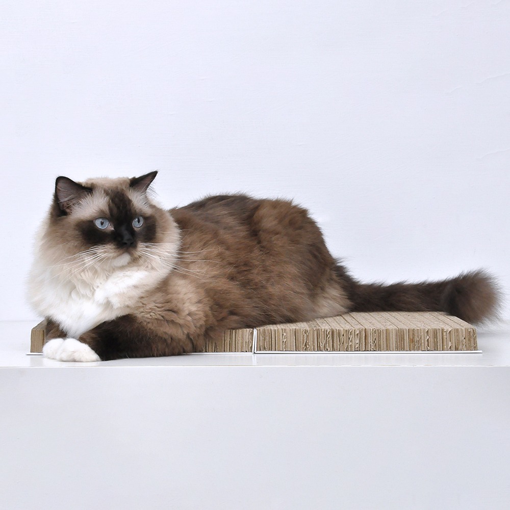 🐶寵物殿🐱~毛毛樂寵物~DOOOG貓抓書 貓抓板-細節圖4