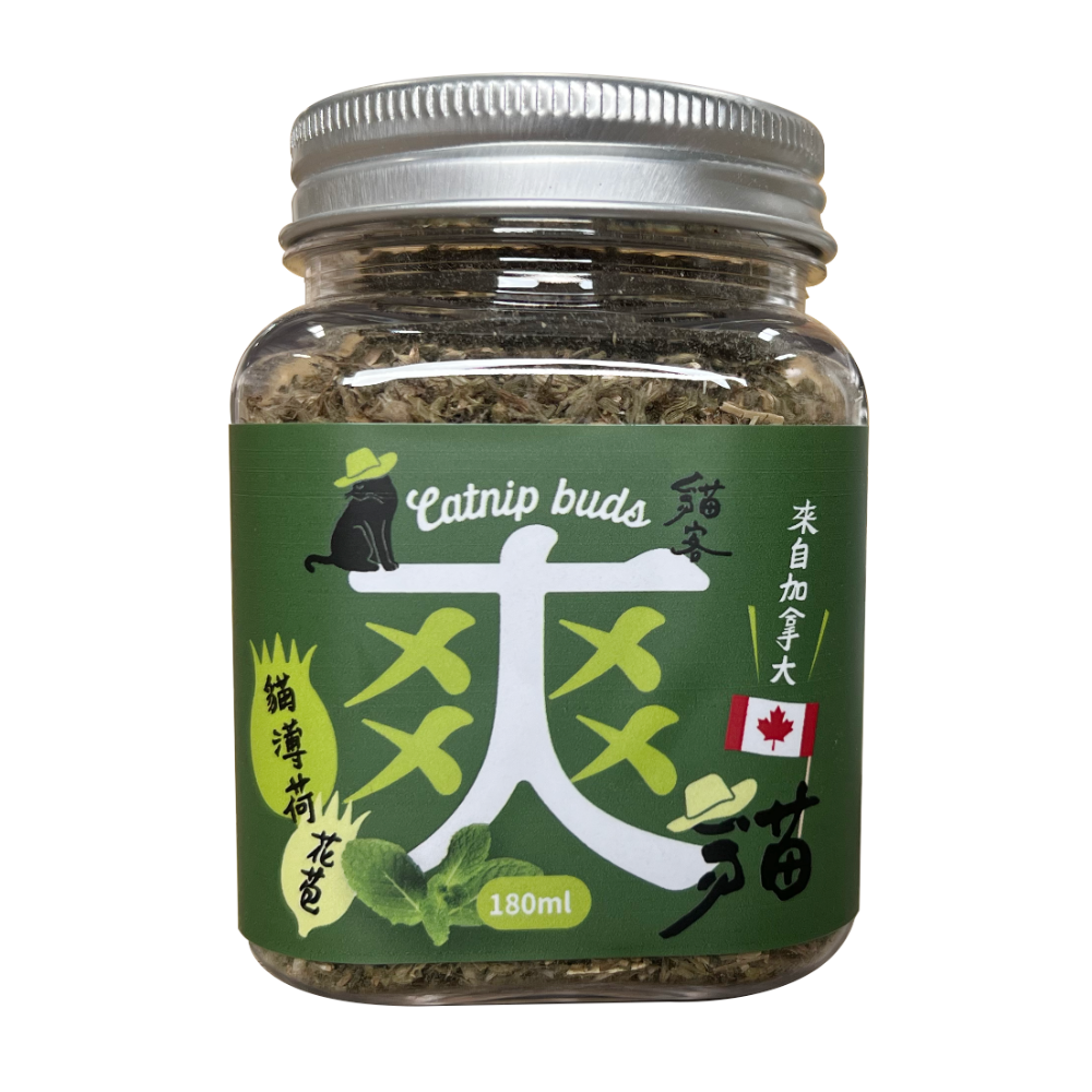 加拿大貓薄荷-花苞