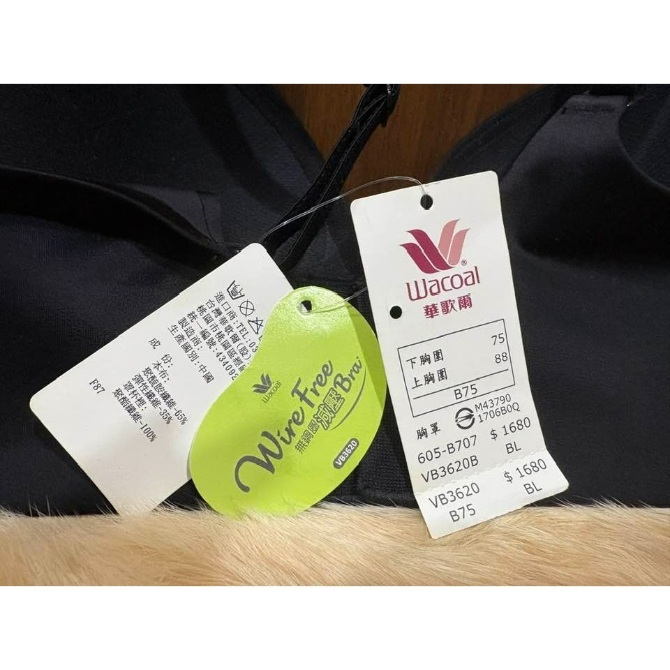 華歌爾【VB3620】無鋼圈減壓Bra 無痕內衣 B75 黑色【全新】-細節圖6