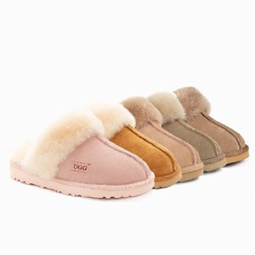 預購 澳洲 🦘 OZWEAR Ugg Slippers Premium男女同款 穆勒鞋 羊毛懶人鞋 底2.5公分