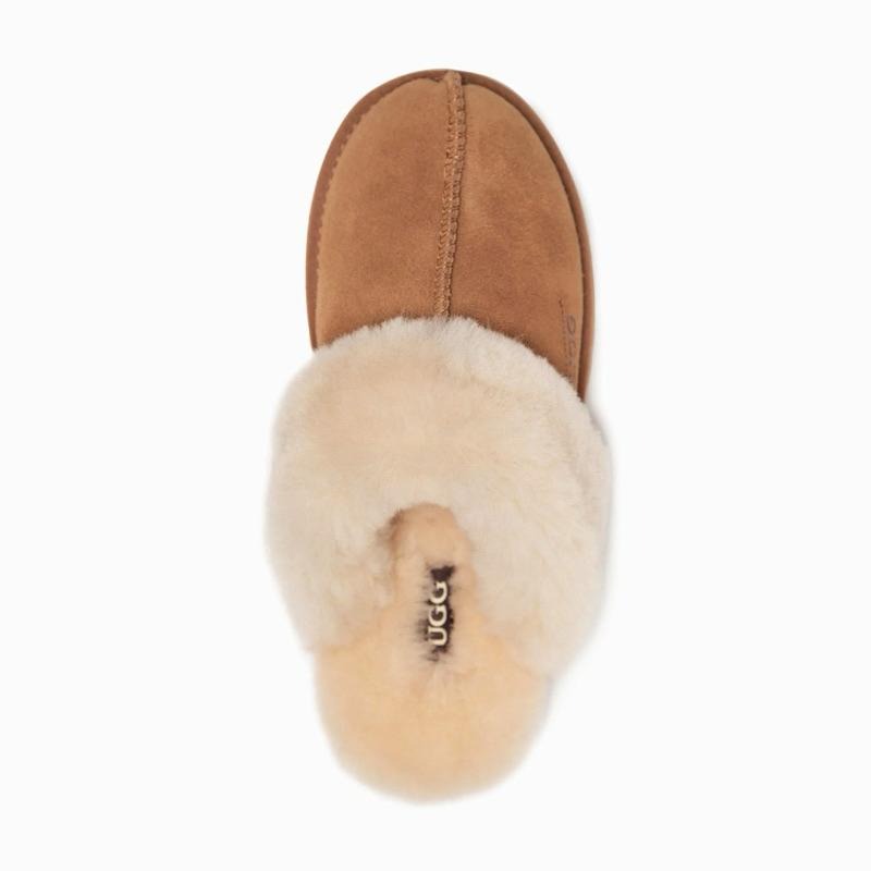 預購 澳洲 🦘 OZWEAR Ugg Slippers Premium男女同款 穆勒鞋 羊毛懶人鞋 底2.5公分-細節圖6