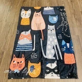 Meow life 卡通貓咪 法蘭絨毯 毛毯 空調毯 冷氣毯 午睡毯 兒童毯 保暖 柔軟 輕柔 舒適 [台灣現貨]-規格圖9
