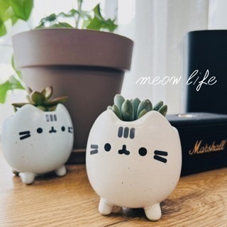 Meow life 貓咪 多肉植物 花盆 花器 粗陶瓷 盆栽 [台灣現貨]-細節圖2