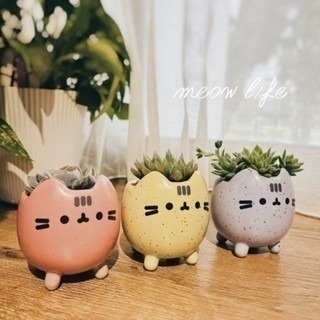 Meow life 貓咪 多肉植物 花盆 花器 粗陶瓷 盆栽 [台灣現貨]-細節圖3