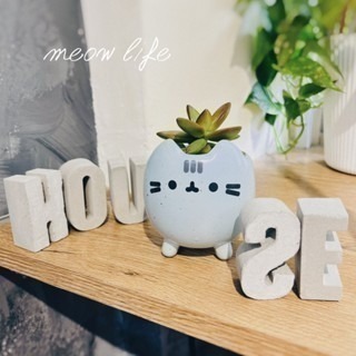 Meow life 貓咪 多肉植物 花盆 花器 粗陶瓷 盆栽 [台灣現貨]-細節圖4