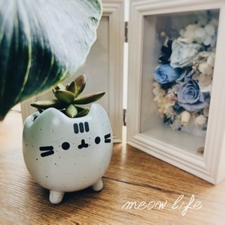 Meow life 貓咪 多肉植物 花盆 花器 粗陶瓷 盆栽 [台灣現貨]-細節圖5