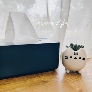 Meow life 貓咪 多肉植物 花盆 花器 粗陶瓷 盆栽 [台灣現貨]-細節圖8