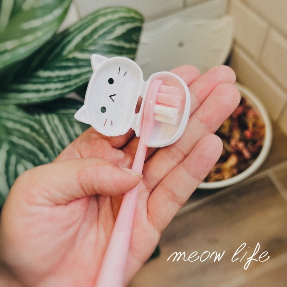 Meow life 貓咪造型 牙刷套 牙刷蓋 牙刷盒 牙刷防塵 牙刷收納 刷頭保護 旅行牙刷蓋 攜帶式 [台灣現貨]-細節圖3