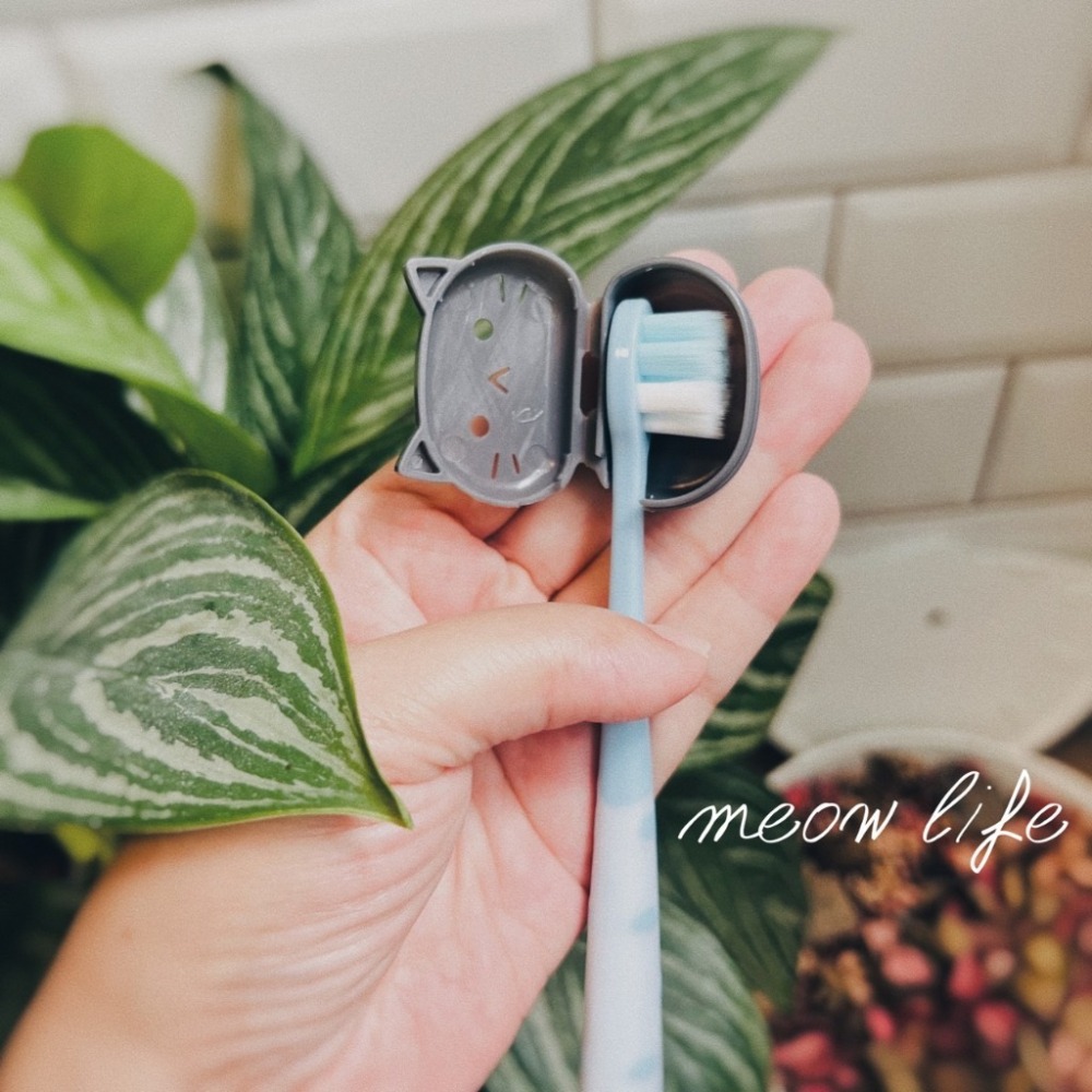 Meow life 貓咪造型 牙刷套 牙刷蓋 牙刷盒 牙刷防塵 牙刷收納 刷頭保護 旅行牙刷蓋 攜帶式 [台灣現貨]-細節圖5