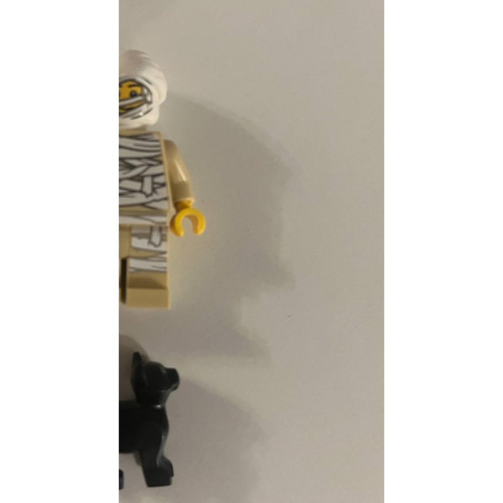 LEGO 2025 萬聖節 Bam人偶-規格圖4