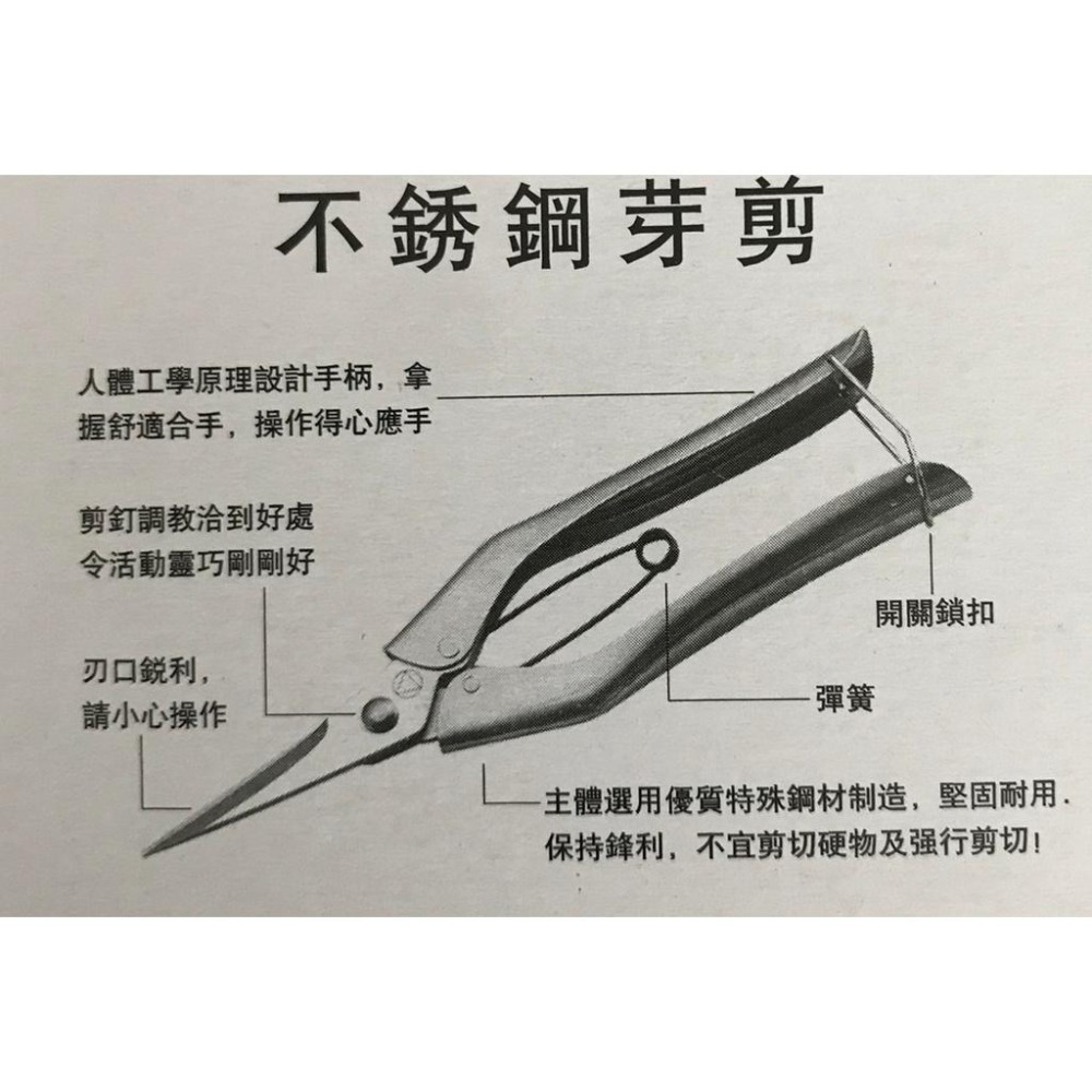 F-199不銹鋼芽剪  花枝剪  園藝剪 剪刀-細節圖2