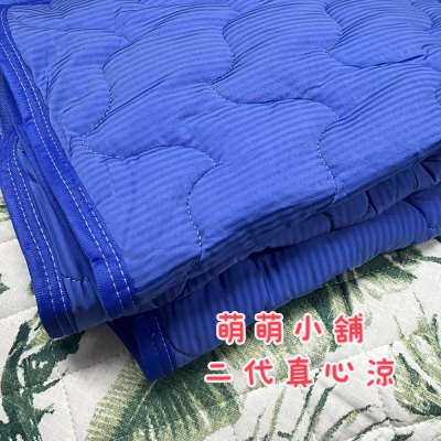 涼感枕巾(2入） 萌萌小舖 枕墊 枕頭保潔墊 柔軟舒適 寶寶墊 寵物墊 日單回購率第一名二代