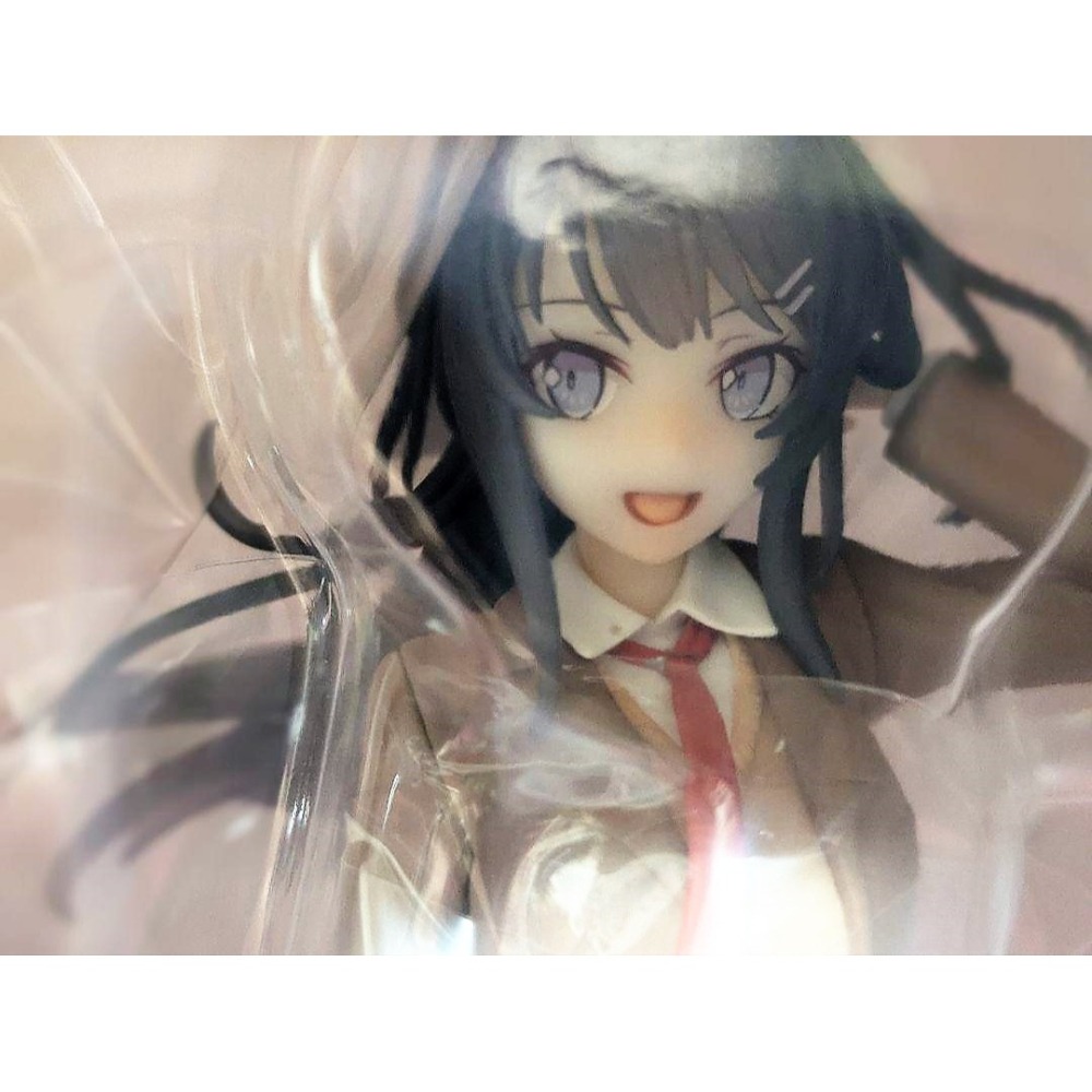 【慢活同盟】KADOKAWA 角川 櫻島麻衣 紅書包女孩 青春豬頭少年系列-細節圖2