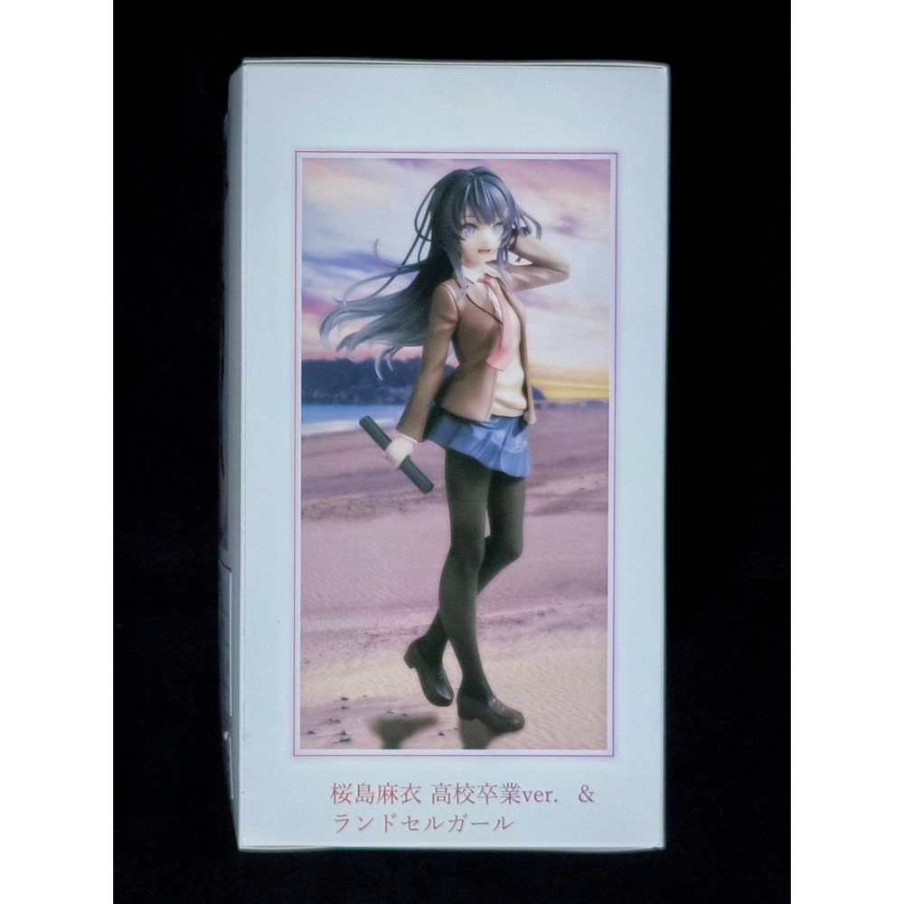 【慢活同盟】KADOKAWA 角川 櫻島麻衣 紅書包女孩 青春豬頭少年系列-細節圖6