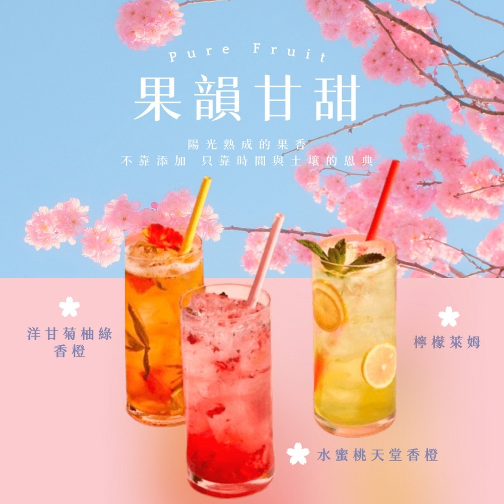 檸檬萊姆果乾茶推薦｜天然酸香無糖茶・【RE＇ME果菓】-細節圖2