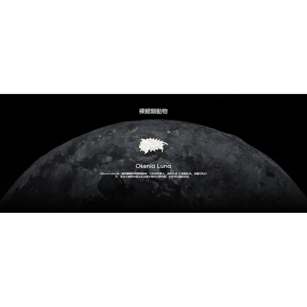 瑞士🇨🇭現貨Blancpain X Swatch 黑暗月球 風暴洋Ocean of Storms-細節圖3