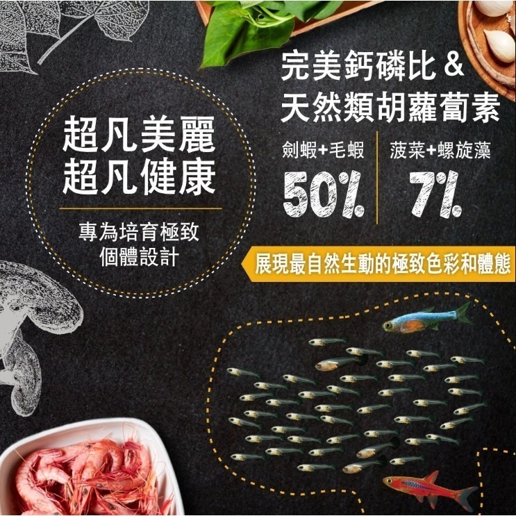 鮮蝦食譜初生幼魚＆微型熱帶魚全營養菠菜大蒜蝦肉微粒超值補充包-細節圖3