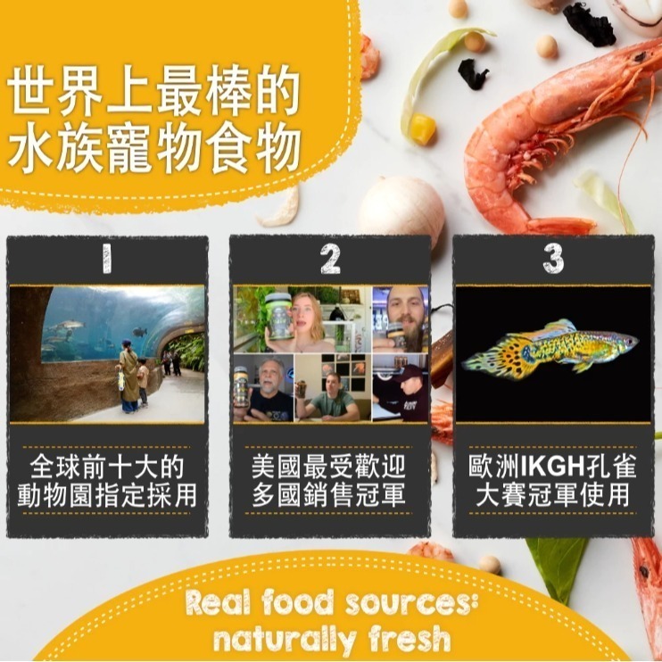 鮮蝦食譜初生幼魚＆微型熱帶魚全營養菠菜大蒜蝦肉微粒超值補充包-細節圖8