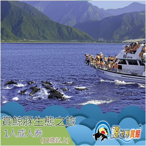 【花蓮】鯨世界-賞鯨豚生態之旅成人券Ⓗ