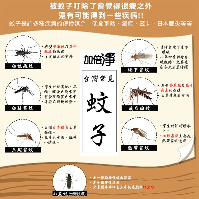 【加倍淨】防蚊液超值組 加倍淨金剛罩防蚊液＊2 ＋鐵布衫小黑蚊專用＊2-細節圖3