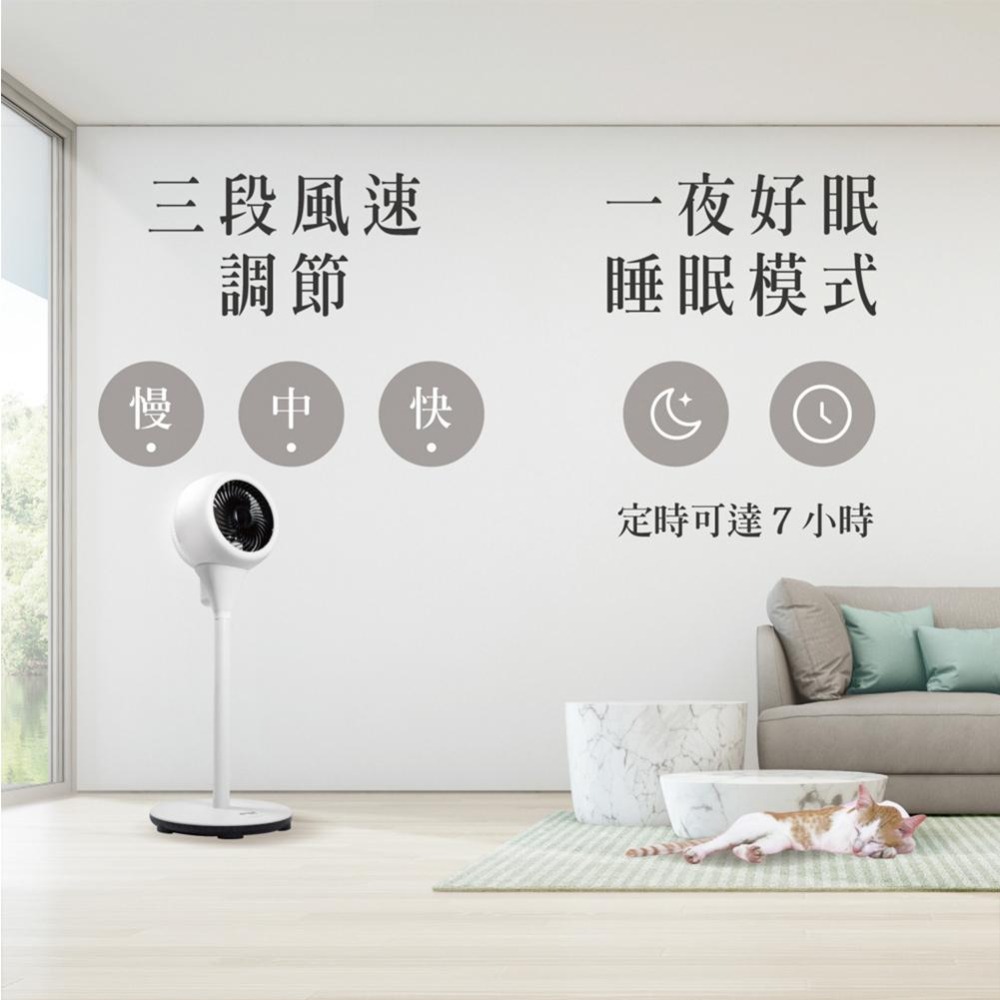 【AIWA愛華】 AC立式循環扇 DF-801-細節圖8