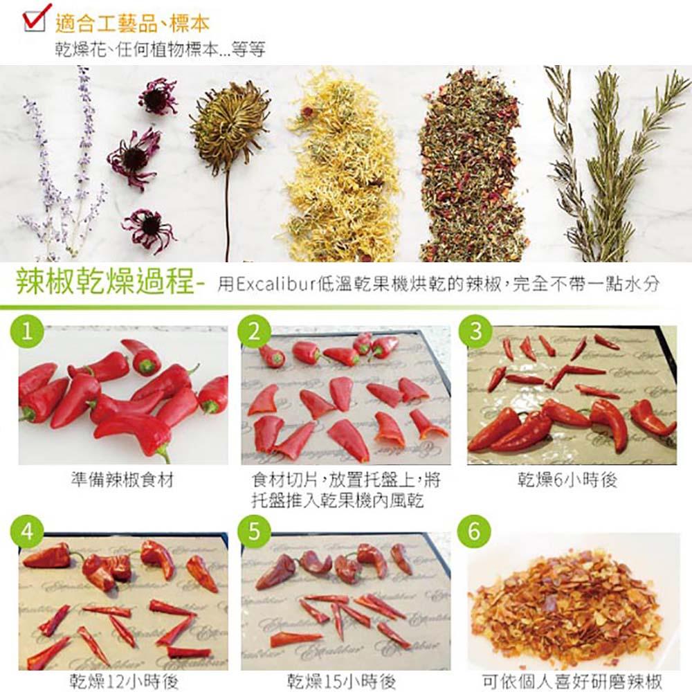 【Excalibur 美國依卡莉柏】 9層低溫乾果機 3926TCDB 九層塑膠/透明門 (黑) 蝦幣3%回饋-細節圖9