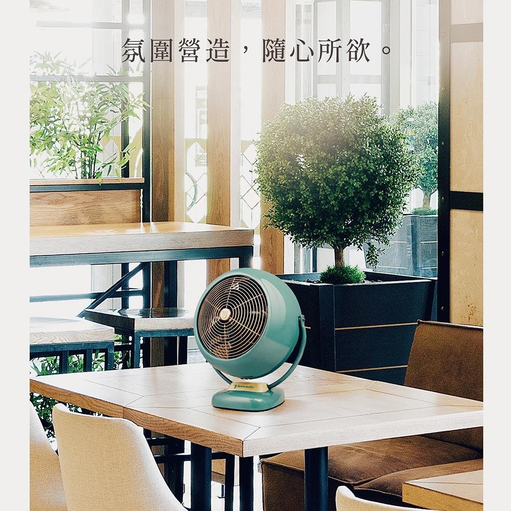 美國 VORNADO 沃拿多 8-10坪用 經典復古扇 VF20SR-TW-細節圖6