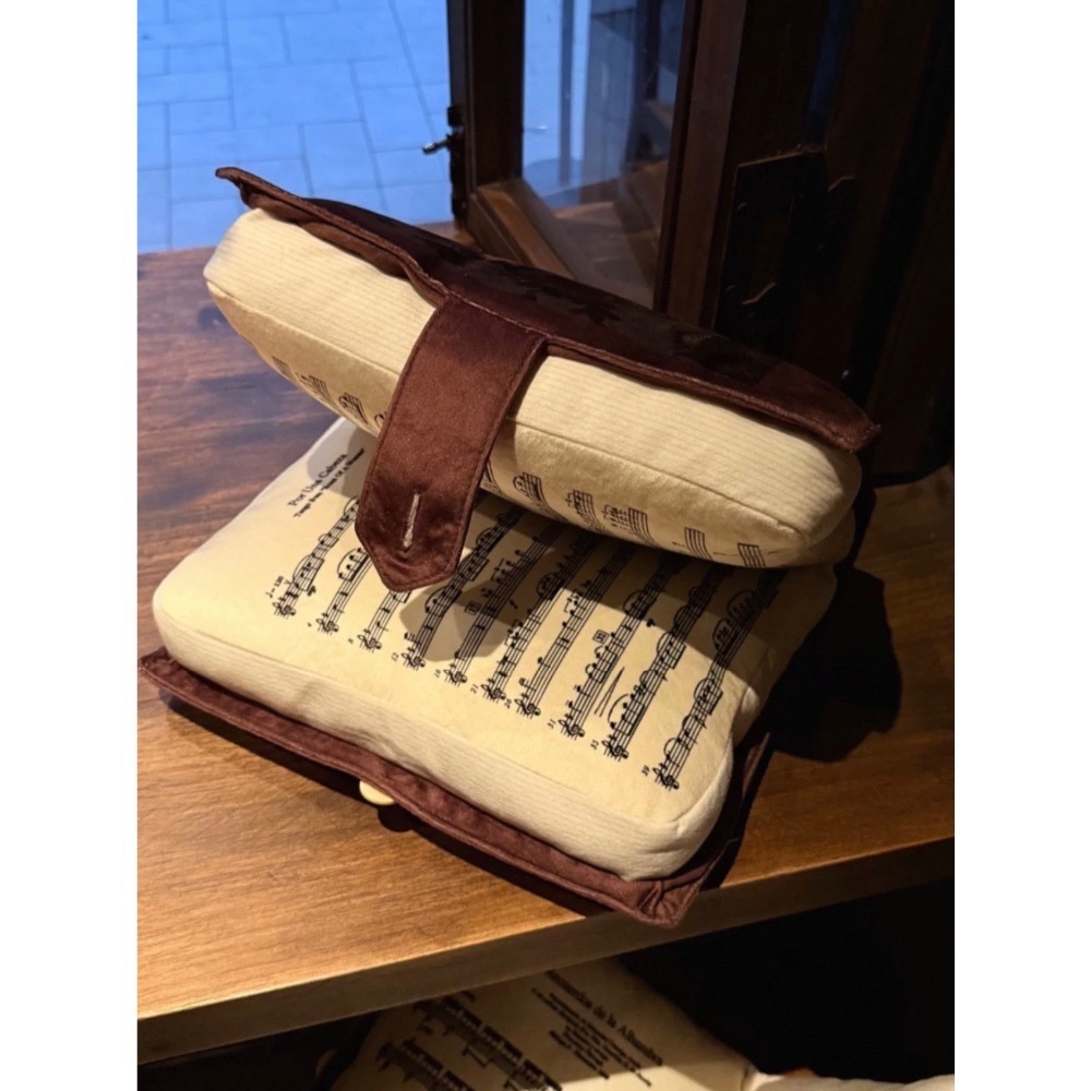 〔預購〕小提琴音樂家琴譜靠枕 靠譜 午休枕 抱枕-細節圖2