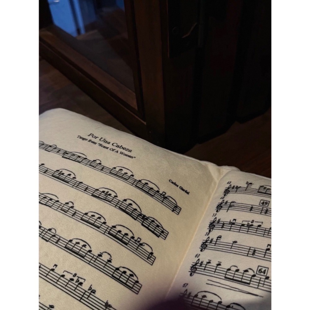 〔預購〕小提琴音樂家琴譜靠枕 靠譜 午休枕 抱枕-細節圖3