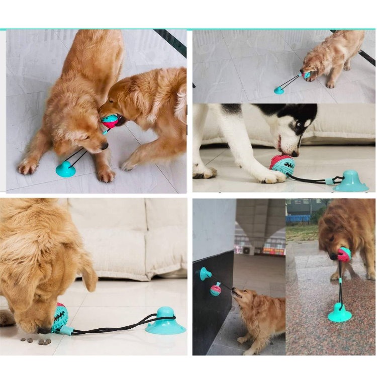 拔河健身吸盤球 TPR玩具球 磨牙啃咬吸盤 寵物耐咬玩具吸盤球 潔牙 寵物玩具 安全無毒玩具-細節圖7