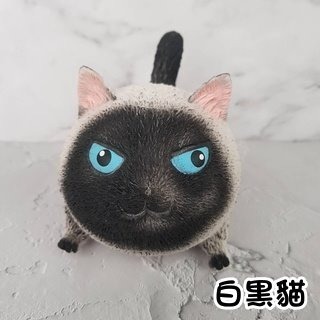 （買10送1）出清價 發洩 解壓 玩具 捏捏樂 舒壓生氣貓 軟萌貓咪-細節圖8