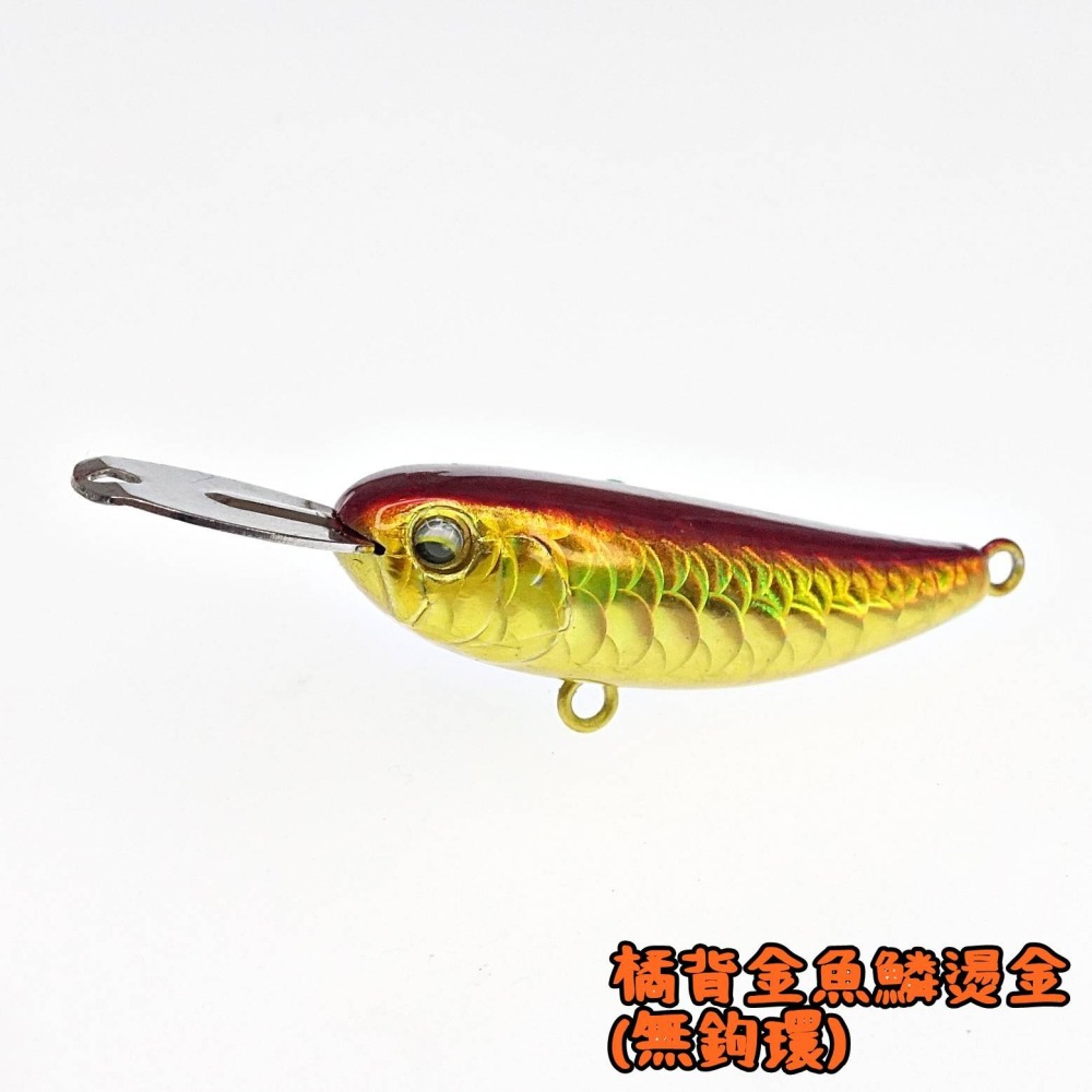 無鉤環 004 金屬舌板 004 上升爬行餌 5.5g 40mm 米諾 鉛筆 浮水米諾 水表鉛筆 路亞Q14-細節圖2