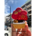 🌵EK Handmade🌵賺大鉗 發財樹 柿柿順利 立體擴香石擺件-規格圖7