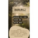 林間清晨