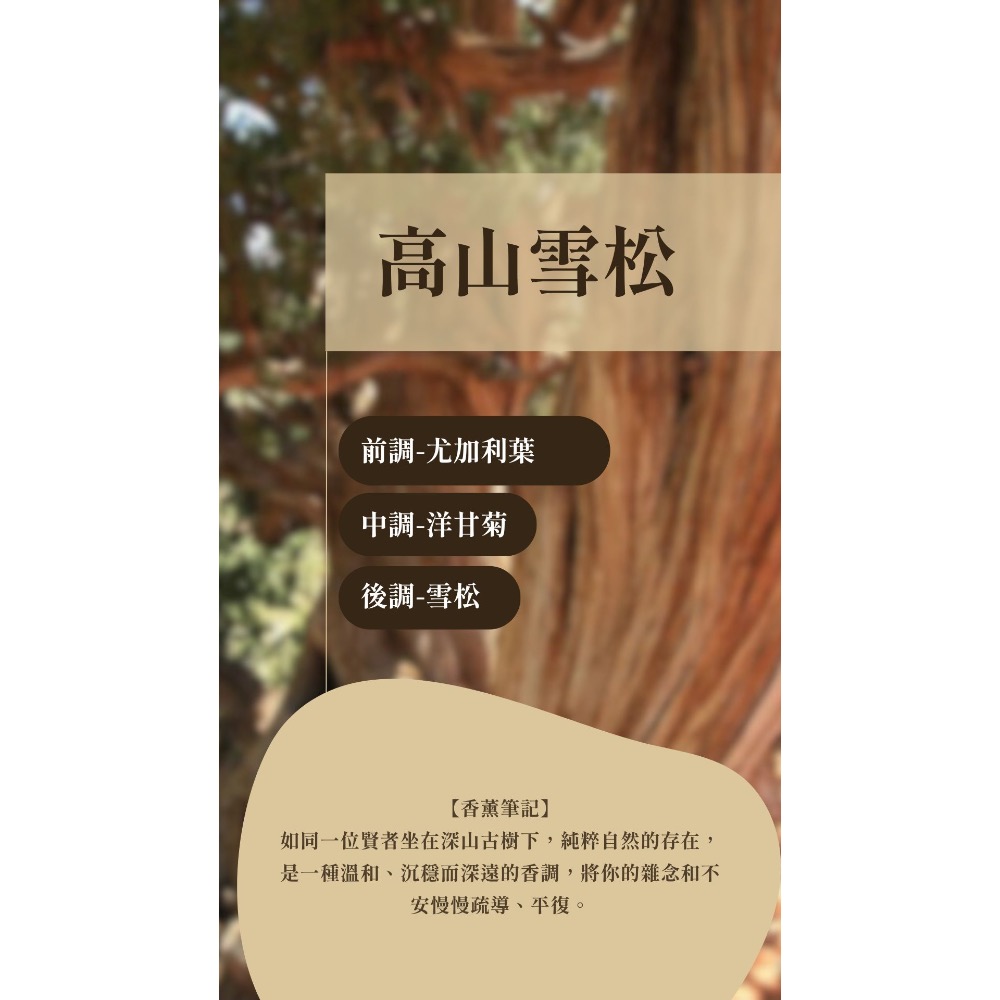 手工香氛大豆蠟燭｜高山雪松-細節圖3