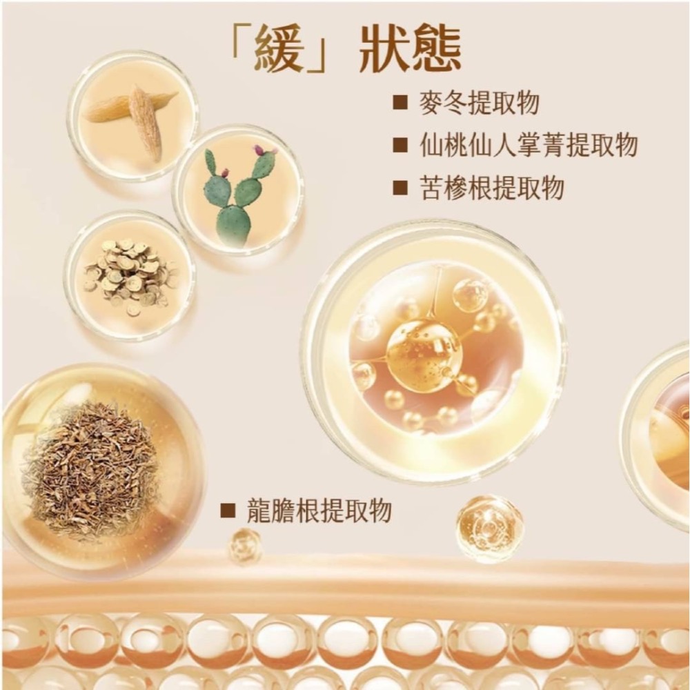 【米亞美妝商行】JOYRUQO嬌潤泉酵萃平衡安肌精華水-細節圖7