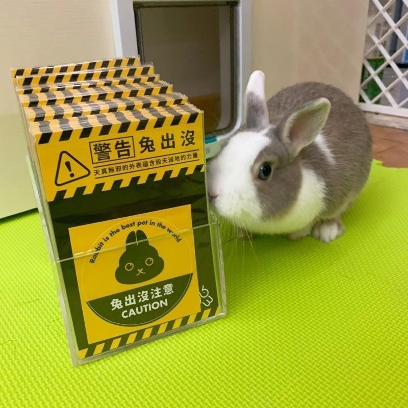 【Masa老大】兔出沒貼紙.8cm.創意貼紙.筆電貼.車貼.-細節圖3