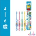 【Pikabu 皮卡布】 附發票 日本原裝 SUNSTAR 三詩達 巧虎牙刷 牙膏 現貨 兒童牙刷-規格圖1