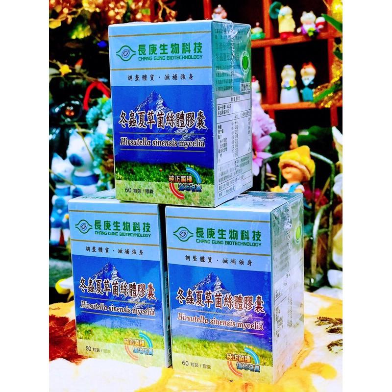 長庚生技冬蟲夏草菌絲體膠囊(60粒/罐)-細節圖2