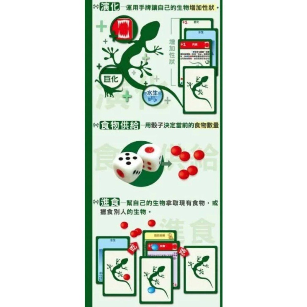 演化論 物種起源 Evolution 繁體中文版 高雄龐奇桌遊-細節圖4