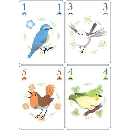 圓啾會議 Songbirds 繁體中文版 高雄龐奇桌遊-細節圖2