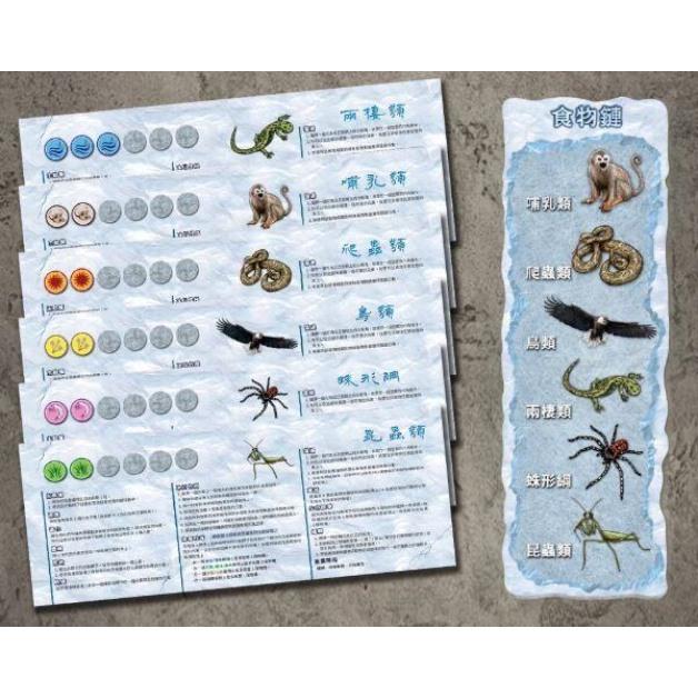優勢物種 2025新版 Dominant Species 繁體中文版 高雄龐奇桌遊-細節圖6