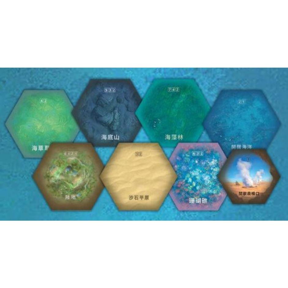 優勢物種 海洋 Dominant Species Marine 繁體中文版 高雄龐奇桌遊-細節圖3